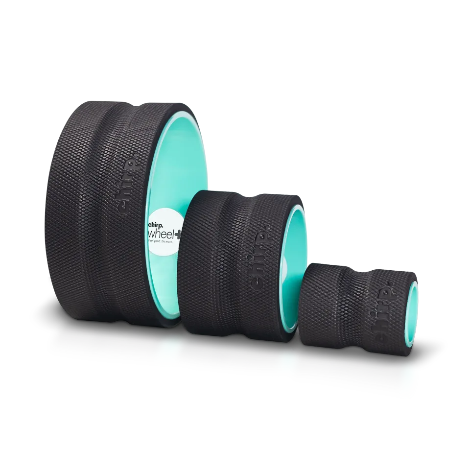 Chirp Wheel+ Back Roller